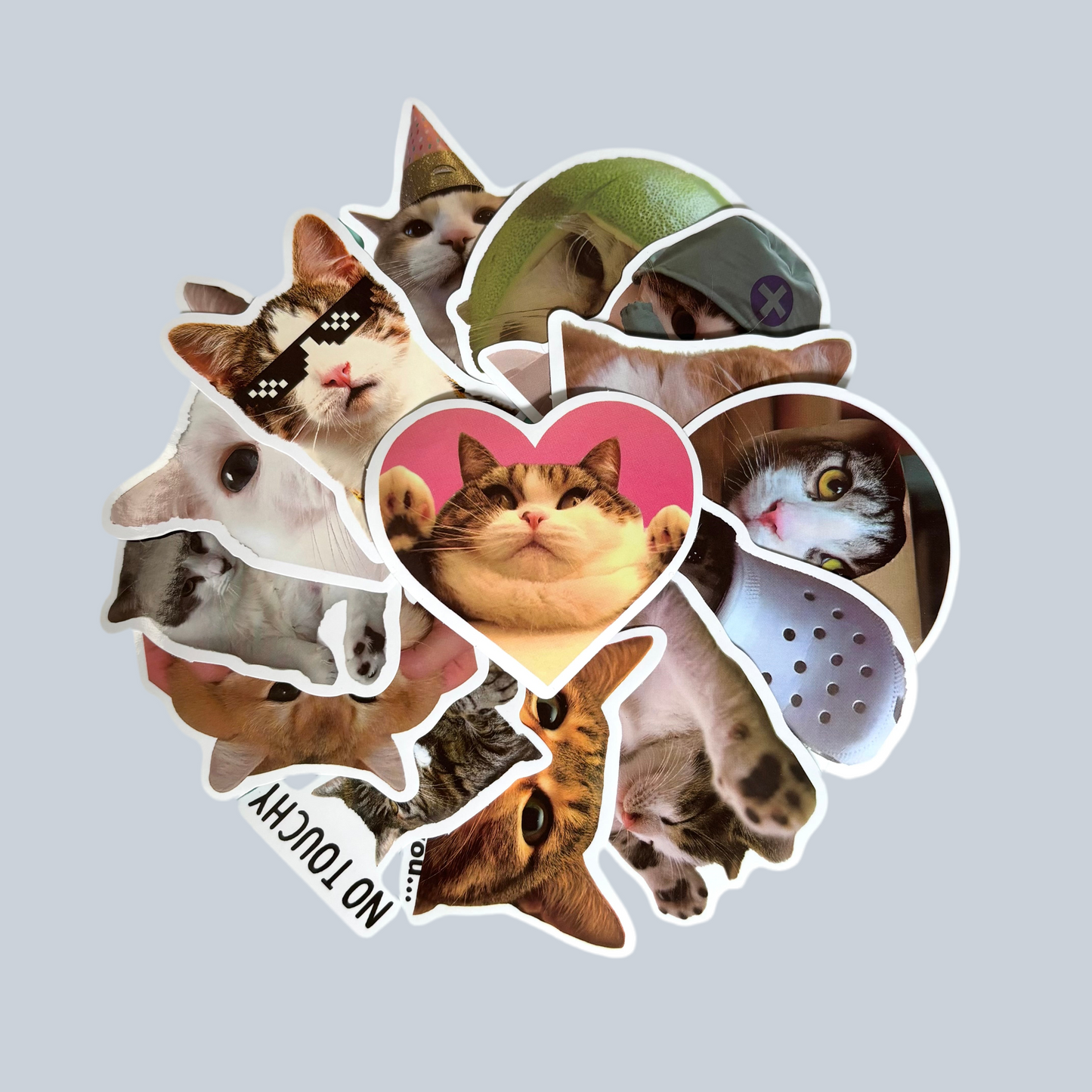 Cat Meme Stickers