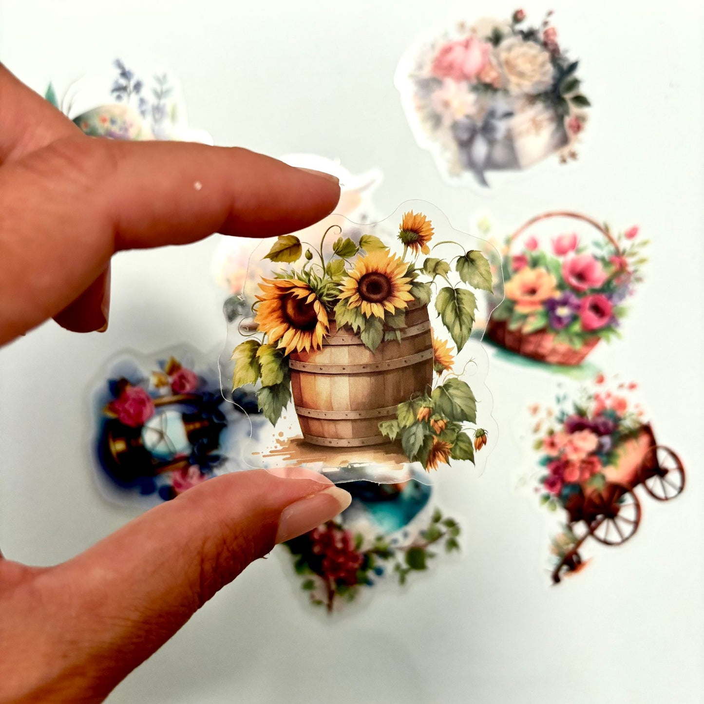 Country Chic Transparent Stickers| 5 Pack Random Designs