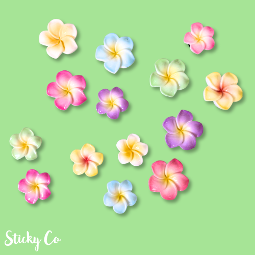 Colorful flower-shaped clog charms