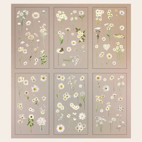 Set of six floral stickers with white flowers and green leaves on a beige background