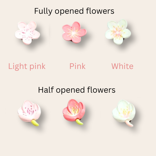 Cherry Blossom Flowers | Shoe Charms