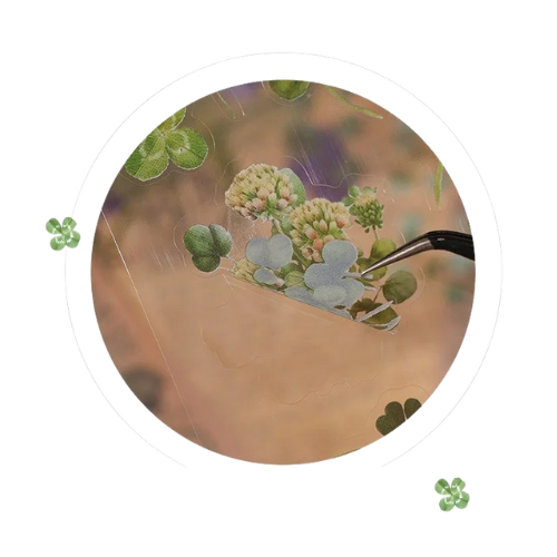 Clear Botanical Stickers – 6 Sheet Pack (Ferns, Daisies, Lavender, Clovers)