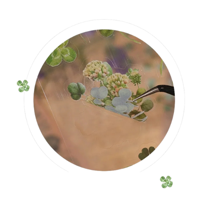 Clear Botanical Stickers – 6 Sheet Pack (Ferns, Daisies, Lavender, Clovers)