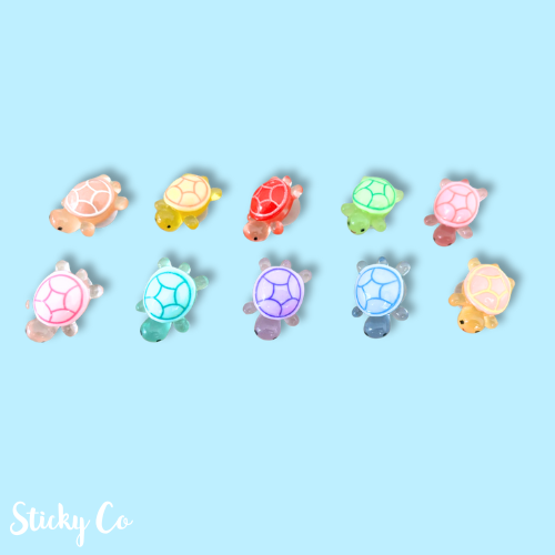 Rainbow Turtle | Shoe Charms